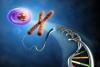 Photo for Recombinant DNA Technology Market to Surpass US$ 196.7 Billion by 2025
