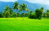 Photo for Enjoy the Honeymoon Paradise in Kerala | Lelagoon Holidays