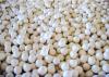 Photo for Global High Purity Alumina Market - Insights, Opportunity Analysis, and Industry Forecast till 2025