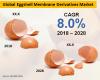 Photo for ‘Panacea for Joint Pain’ Perception Pushing Demand for Eggshell Membrane Derivatives - US$ 1.8 Bn Market Opportunity in the Offing