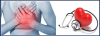 Photo for Cardiologist's Tips for Cardiovascular Health
