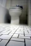 Photo for Got Plumbing