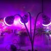 Photo for Smart LED Lighting