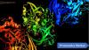 Photo for Proteomics Market In-Depth Analysis with Booming Trends Supporting Growth Till 2023