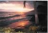 Photo for Wailele Ocean Front Beach Home-Maui