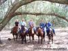 Photo for Horseback Riding and Trail Rides, Horse Park