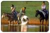 Photo for Southern Cross Guest Ranch