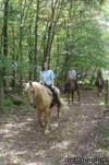Photo for Scenic Guided Trail Rides Through The Pocono Woods