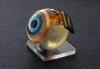 Photo for The Future Of Artificial Retina Market Is Closer Than You Think
