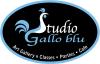 Photo for Studio Gallo Blu
