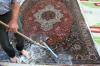 Photo for Carpet Cleaning Cypress