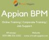 Photo for Appian BPM Online Training Institution