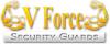 Photo for V-Force Security Services in Arkansas
