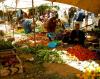 Photo for Souks Outside Marrakech, Your Morocco Tour Guide