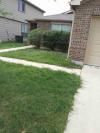 Photo for Dixon Landscaping & Lawn Services