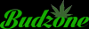 Photo for BudZone