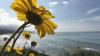 Photo for Melissa St. Pierre - Photography