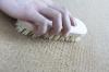 Photo for Carpet Cleaning Bloomingdale