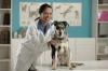 Photo for All Pets Clinic