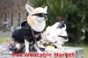 Photo for Pet Wearable Market is projected to be around USD 4.02 billion by 2023 | Crystal Market research