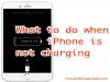 Photo for How to fix iPhone not charging?