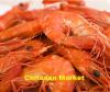 Photo for Worldwide Chitosan Market- Analysis of Global Opportunities and Trends 2018