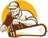 Photo for Manassas Tree Service