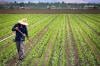 Photo for Cannabis Farming Tools