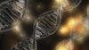 Photo for Molecular Diagnostics Market Overview and Growth Rate Report, 2016 to 2024