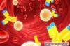 Photo for Immunoglobulin Market - Industry Insights, Growth, Size, Share, Trends and Analysis, 2018-2026