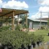 Photo for Texas Growers Nursery