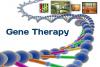 Photo for Gene Therapy Market - Size, Share, Growth and Trends Analysis 2018–2026
