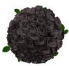 Photo for Buy Black Roses Delivery Online