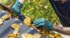 Photo for T's Tree Service - Plainfield