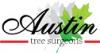 Photo for Austin Tree Services - tree trimming, removal, stump grinding, sales, planting & cabling