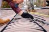 Photo for Fort Collins Roof Repair Contractors