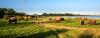 Photo for Minneriya Safari Tours