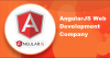 Photo for Top-notch Angular web development services
