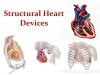 Photo for Structural Heart Devices Market Opportunity Analysis, 2018-2026