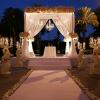 Photo for Best Wedding Places in Miami