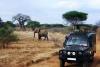 Photo for Tanzania Safari Tour Packages