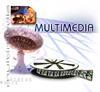 Photo for Multimedia Dot Com
