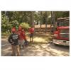 Photo for Todd’s Marietta Tree Services
