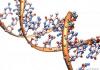 Photo for Lymphocyte Activation Gene 3 Protein Market- Size, Share, Outlook, and Forecast till 2026