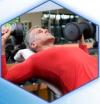 Photo for VIVE Natural Hormone Pellets
