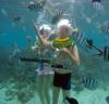 Photo for Helmet diving in Mauritius – Discover the Underwater World from Within