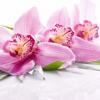 Photo for Weslaco Floral
