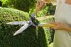 Photo for Lawn Perfection LLC