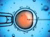 Photo for Artificial Insemination Market - Growth, Size, Share, Analysis, Trends and Forecasts To 2026