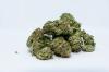 Photo for U.S. Medical Cannabis Market Overview, Growth Rate and Future Outlook, 2014 to 2024